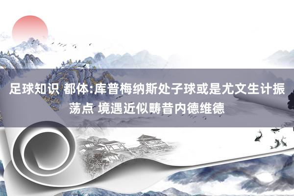 足球知识 都体:库普梅纳斯处子球或是尤文生计振荡点 境遇近似畴昔内德维德