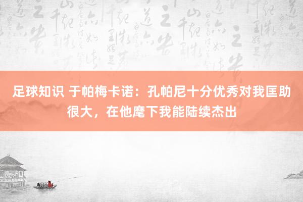 足球知识 于帕梅卡诺：孔帕尼十分优秀对我匡助很大，在他麾下我能陆续杰出