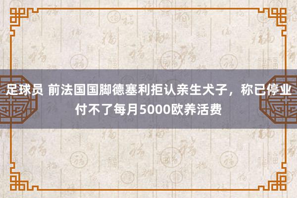 足球员 前法国国脚德塞利拒认亲生犬子，称已停业付不了每月5000欧养活费