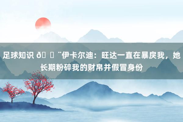 足球知识 😨伊卡尔迪：旺达一直在暴戾我，她长期粉碎我的财帛并假冒身份