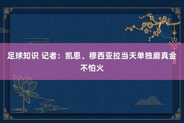 足球知识 记者：凯恩、穆西亚拉当天单独磨真金不怕火