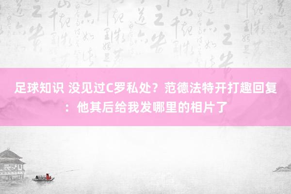 足球知识 没见过C罗私处？范德法特开打趣回复：他其后给我发哪里的相片了