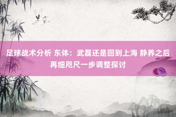 足球战术分析 东体：武磊还是回到上海 静养之后再细咫尺一步调整探讨