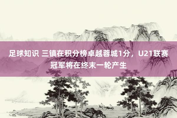 足球知识 三镇在积分榜卓越蓉城1分，U21联赛冠军将在终末一轮产生