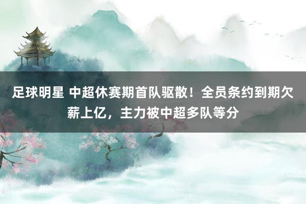 足球明星 中超休赛期首队驱散！全员条约到期欠薪上亿，主力被中超多队等分